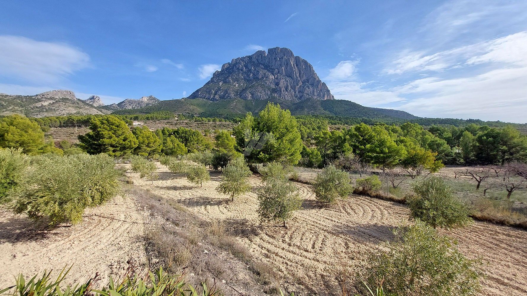 Finca rústica en venta con vistas al mar y a la montaña en Finestrat, Costa Blanca.