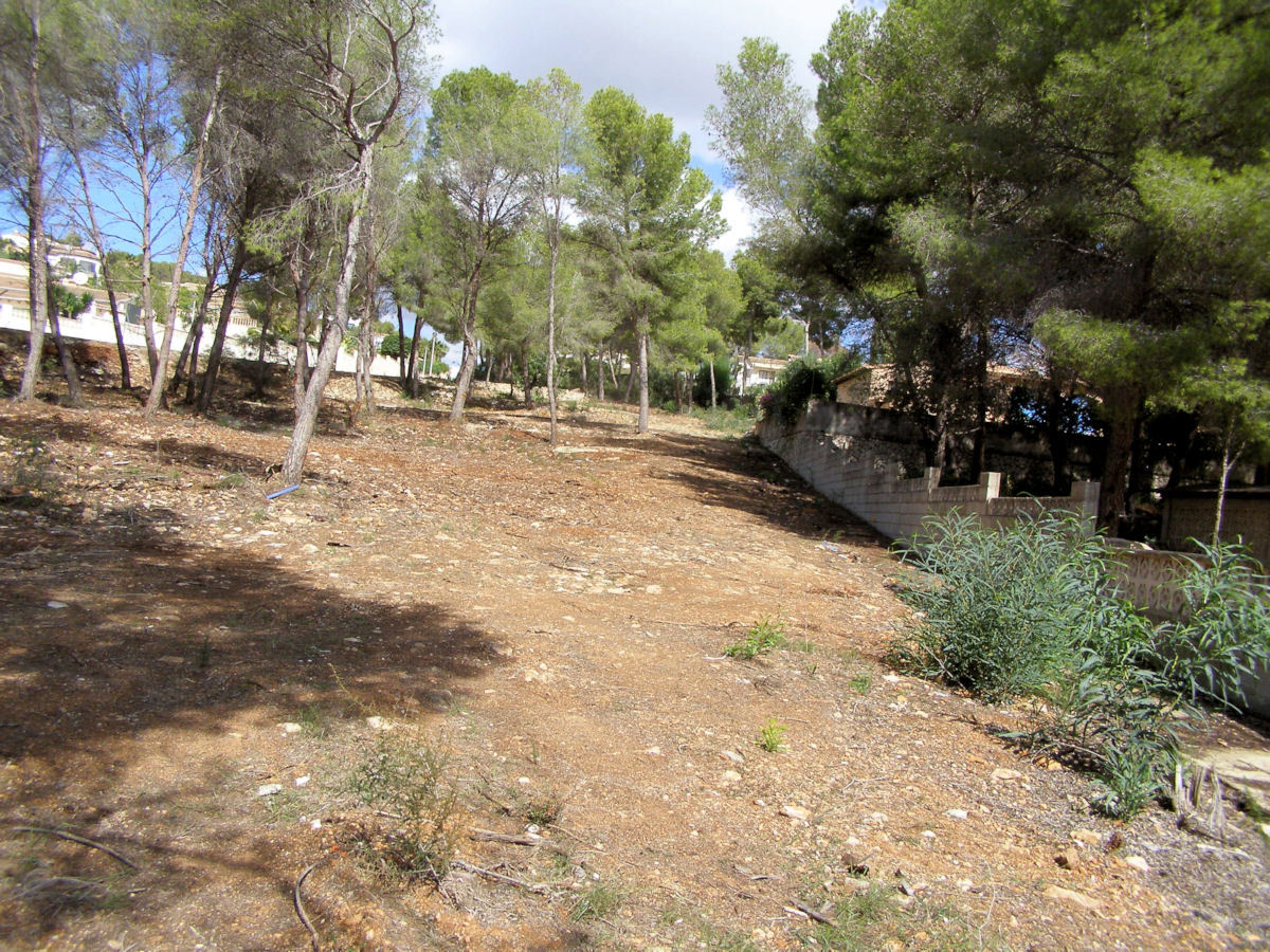 Verschiedene Grundstücke zum Verkauf in Moraira, El Bosque
